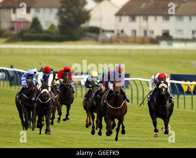 Horse Racing - 2013 William Hill Ayr Gold Cup Festival - Giorno 2 - Ayr Racecourse Foto Stock