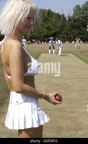 La carità partita di cricket - Clapton Foto Stock