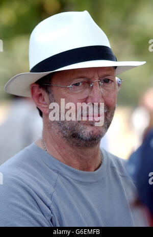 La carità partita di cricket - Clapton Foto Stock
