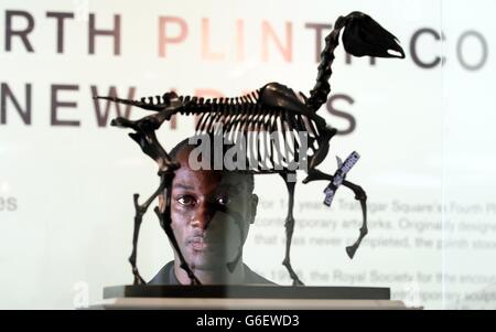 Quarta esposizione dello zoccolo Foto Stock