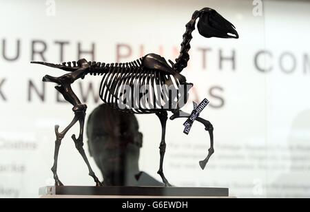 Quarta esposizione dello zoccolo Foto Stock