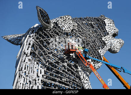 L'operaio continua a lavorare sui Kelpies presso l'Helix, sull'entrata orientale del canale Forth e Clyde a Falkirk, mentre si avvicina al completamento. Le opere d'arte a forma di teste di cavallo, alte 30 metri, sono state progettate dallo scultore scozzese Andy Scott. PREMERE ASSOCIAZIONE foto. Data immagine: Mercoledì 9 ottobre 2013. I Kelpies sono un monumento al patrimonio equestre in tutta la Scozia centrale. Il credito fotografico dovrebbe essere: Andrew Milligan/PA Wire STAMPA ASSOCIAZIONE Foto. Data immagine: Mercoledì 9 ottobre, 2013. Il credito fotografico dovrebbe essere: Andrew Milligan/PA Wire. Foto Stock