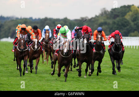 Horse Racing - 7° Ascot CAMRA Beer Festival incontro - Giorno Due - Ascot Racecourse Foto Stock