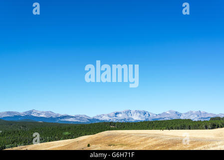 Asciugare le pianure, lussureggiante foresta verde e bella Bighorn Mountain Range vicino a Buffalo, Wyoming Foto Stock