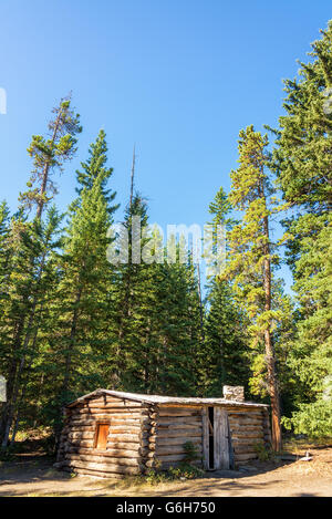 Vista verticale di un abbandonato homestead cabina in un bosco vicino a Buffalo, Wyoming Foto Stock