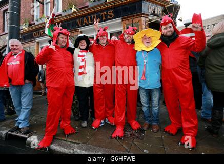 Rugby Union - Dove gli uomini serie - Galles v Sud Africa - Millennium Stadium Foto Stock