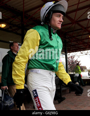 Corse ippiche - l'Open Festival 2013 - la Domenica aperta - Ippodromo di Cheltenham. Jockey Barry Geraghty Foto Stock