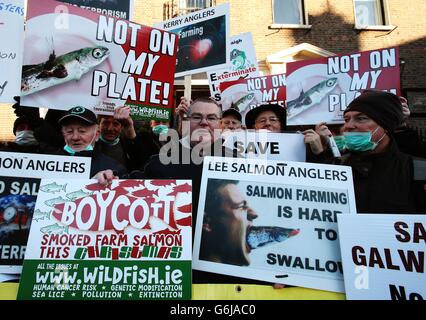 Manifestanti al lancio di "Boycott Farmed Salmon for Christmas" fuori dello Shelbourne Hotel, Dublino, dove si svolge la Good Food Ireland Conference. Foto Stock