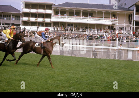 Corse ippiche - Lester Piggott. BREAM guidato da Lester Piggott. Di proprietà di E. C.Driffield, formazione di e Welmes di intermediari. Foto Stock