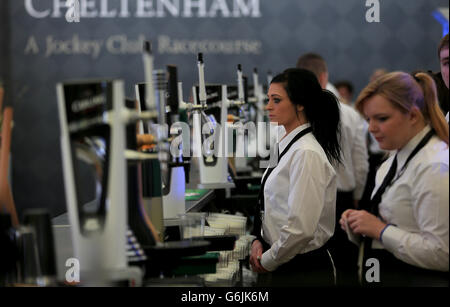 Corse di cavalli - il festival aperto 2013 - Paddy Power Gold Cup giorno - Cheltenham Racecourse Foto Stock