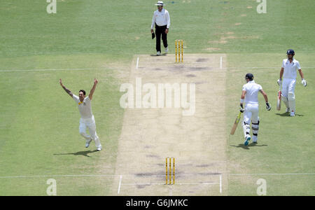 Mitchell Johnson (a sinistra) in Australia celebra la presa del wicket di Kevin Pietersen (seconda a destra) in Inghilterra è stato catturato il 26 durante il quarto giorno del primo Ash Test al Gabba, Brisbane, Australia. Foto Stock