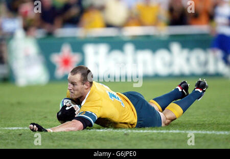 Coppa del Mondo in Nuova Zelanda v Australia Foto Stock