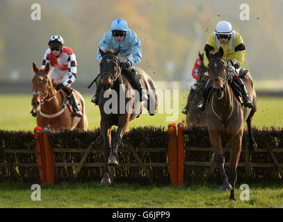 Horse Racing - Lingfield Park Foto Stock