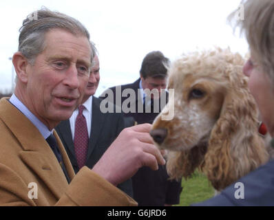 Il Principe di Galles incontra 17 mesi-vecchio Cocker Spaniel Pippa, e il proprietario Pamela Pham, a Poundbury, Dorset, durante una visita alla zona. Il Principe si trovava a Poundbury per aprire Hammick House, la nuova sede di CancerCare Dorset, che comprende una Day Care Room, gruppi di supporto e un Centro informazioni per i pazienti oncologici. Foto Stock