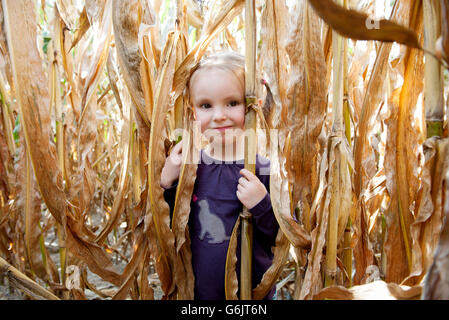 Bambina in cornfield, ritratto Foto Stock