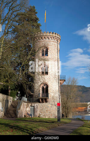 Diebsturm, ladri' Torre, sul fiume Reno, Bad Saeckingen, distretto di Waldshut, Alto Reno, Foresta Nera, Baden-Wuerttemberg Foto Stock