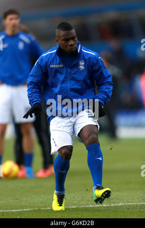 Calcio - Campionato Sky Bet - Birmingham City / Blackpool - St Andrew's. Aaron McLean di Birmingham Foto Stock