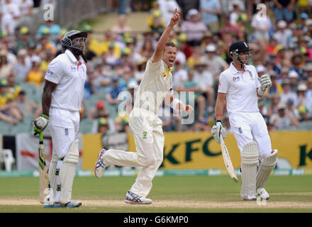 L'australiano Peter Siddle (centro) celebra il fatto che Michael Carberry (a sinistra) è catturato da Nathan Lyon (non illustrato) durante il quarto giorno del secondo Test Match all'Adelaide Oval, Adelaide, Australia. Foto Stock