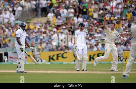 Peter Siddle (a destra) dell'Australia celebra il fatto che Michael Carberry (a sinistra) dell'Inghilterra viene catturato da Nathan Lyon (non illustrato) durante il quarto giorno del secondo Test Match all'Adelaide Oval di Adelaide, Australia. Foto Stock