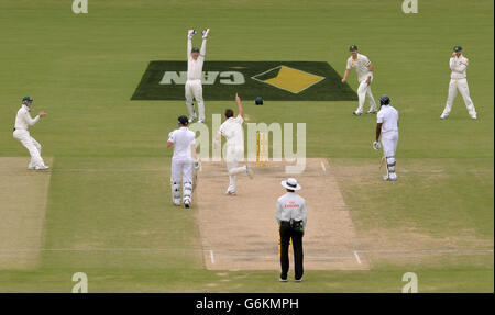 L'australiano Peter Siddle (centro) festeggia come Michael Carberry (seconda destra) dell'Inghilterra è catturato da Nathan Lyon (non illustrato) durante il quarto giorno del secondo Test Match all'Adelaide Oval, Adelaide, Australia. Foto Stock