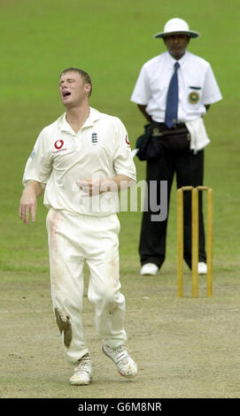 L'inglese Andrew Flintoff mostra la sua frustrazione, mentre Graham Thorpe lascia cadere una presa durante la partita contro l'XI presidente dello Sri Lanka Cricket al Colombo Cricket Club. Gli XI del presidente della SLC sono stati tutti fuori per il 181 alla fine dei loro primi inning. Foto Stock