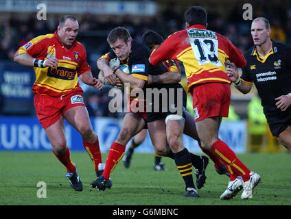 London Wasps v Perpignan Foto Stock