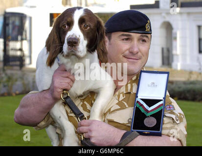 Buster ottiene PDSA Bravery Award Foto Stock