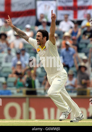 Il Mitchell Johnson dell'Australia festeggia la presa del wicket di Tim Brennan dell'Inghilterra durante il giorno cinque del terzo test al terreno di WACA, Perth, Australia. Foto Stock