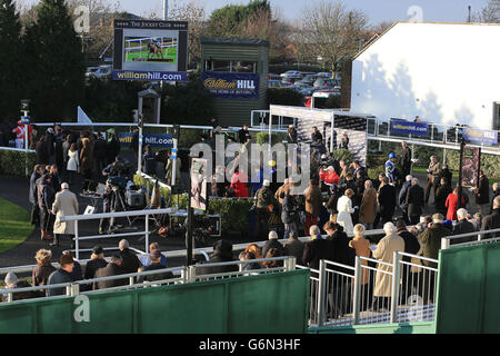 Corse ippiche - 2013 William Hill Winter Festival - primo giorno - Ippodromo di Kempton Park. Racegoers guarda l'azione al Kempton Park Foto Stock