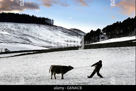 Meteo invernali 2003 - la neve - Peebles, Scozia Foto Stock