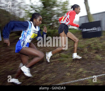 Il campione del mondo Tirunesh Dibaba di Etiopia (a sinistra) sulla strada per vincere i campionati di fondo del Great North Women's 6.3 k all'Exibition Park di Newcastle. Dibaba aspettò fino alla finale 300m prima di accumulare sulla pressione e di tirare davanti alla turca Elvan Abeylegesse (a destra) che aveva costretto il passo a metà distanza della gara di 6.3 chilometri. Foto Stock