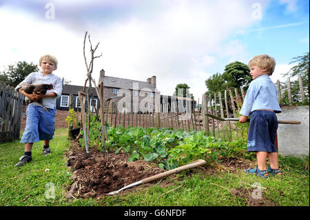 Un bambino di tre anni ragazzo scava la famiglia patch vegetale in una montagna di Gallese home UK Foto Stock