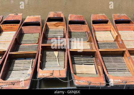 Sterline ormeggiato sul fiume Cam in Cambridge Regno Unito posseduto da Scudamores Foto Stock