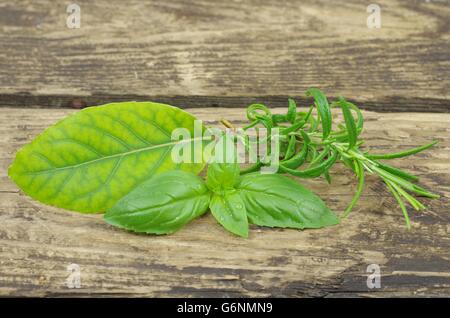 Herb basi rosmarino e alloro su sfondo di legno Foto Stock