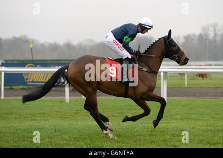 Corse di cavalli - Festival invernale di William Hill 2013 - giorno uno - Ippodromo di Kempton Park. Sukiyaki indovinata da Noel Fehily che andrà a postare per la collina di William - nell'ostacolo dei Novizi dell'App Store Foto Stock