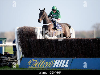 Horse Racing - 2013 William Hill Festival invernale - Giorno 2 - Kempton Park Racecourse Foto Stock