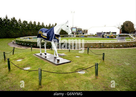 Horse Racing - 2013 William Hill Festival invernale - Giorno 2 - Kempton Park Racecourse Foto Stock