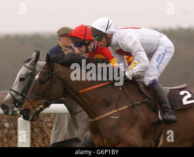 RICKY EQUITAZIONE WALSH Bal de Nuit 2 Foto Stock