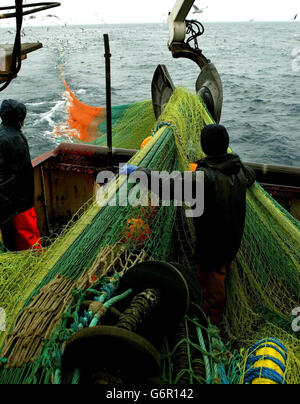 Il merluzzo bianco e l'eglefino sono stati abbassati da una cattura con reti a strascico tra la Norvegia e le isole Shetland nel Mare del Nord. La Scozia ospita la maggior parte dell'industria della pesca marittima del Regno Unito, con molte comunità costiere che dipendono da essa per il loro sostentamento. Con preoccupazione per il declino degli stock ittici, in particolare del merluzzo bianco, la politica comune europea della pesca ha imposto delle quote sulle catture e ora ci sono preoccupazioni per il futuro a lungo termine dell'industria scozzese. NB. La pesca a strascico comporta due navi che tirano su entrambi i lati di una rete. Foto Stock