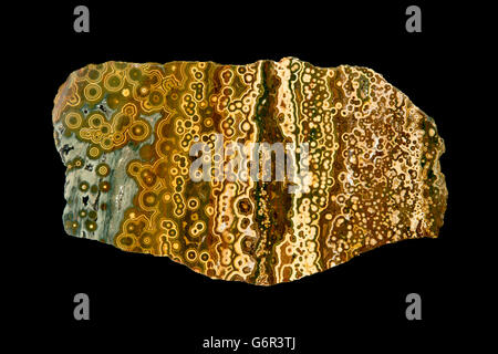 O sferulitica orbicular calcedonio, quarzo cryptocrystaline Madgascar , "ocean Jasper' Foto Stock