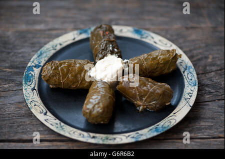 Samale - rumeno vitigno foglie ripiene Foto Stock