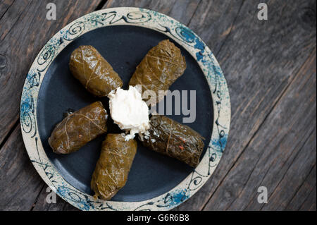 Samale - rumeno vitigno foglie ripiene Foto Stock