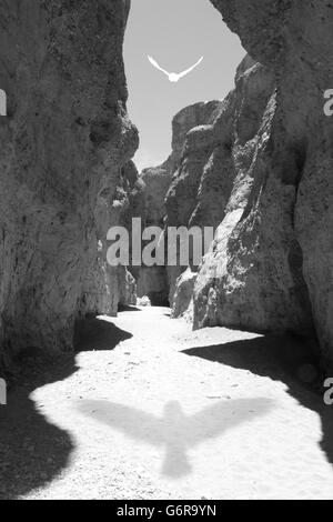 Un ombra scura da un uccello bianco giace su un sentiero roccioso, raggiungendo attraverso ondulate rocce di shadowing. Foto Stock