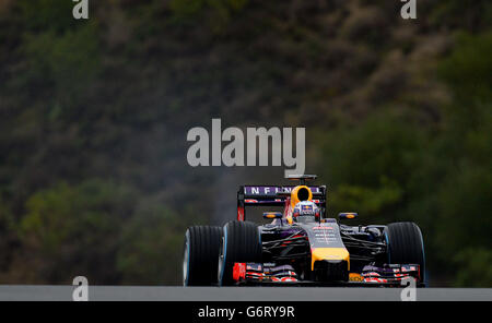 Formula uno - Test 2014 - Day Four - circuito de Jerez. Il pilota della Red Bull Racing Daniel Ricciardo, nel corso dei test di Formula uno 2014 al circuito di Jerez, Jerez, Spagna. Foto Stock