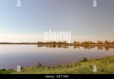 Grande lago, lungo le rive ricoperta da canneti. Sul lago ci sono pino e betulla. Una chiara giornata senza nuvole. Foto Stock