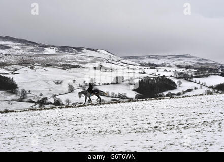 Cavalli che vengono esercitati sulle colline vicino a Leyburn, North Yorkshire sulle colline dei Pennines come ulteriore neve è prevista per terreno alto in tutto il Regno Unito. Foto Stock