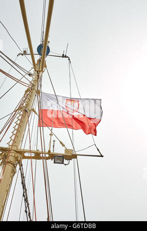 Bandiera polacca su una nave a vela pennone. Foto Stock