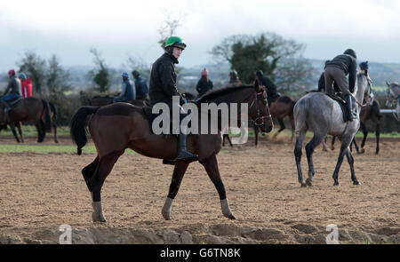 Hurricane Fly guidato da Paul Townend durante la visita alle scuderie Willie Mullins a Bagenalstown, Co. Carlow, Irlanda. Foto Stock