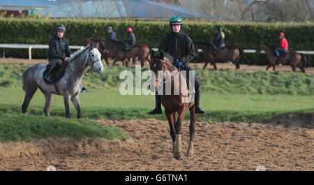 La febbre dello champagne guidata da Ruby Walsh (a sinistra) e Hurricane Fly guidato da Paul Townend durante la visita alle scuderie Willie Mullins a Bagenalstown, Co. Carlow, Irlanda. Foto Stock