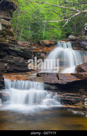 Bemis Brook scende lungo il torrente Bemis in Harts Ubicazione, New Hampshire USA durante i mesi primaverili. Foto Stock